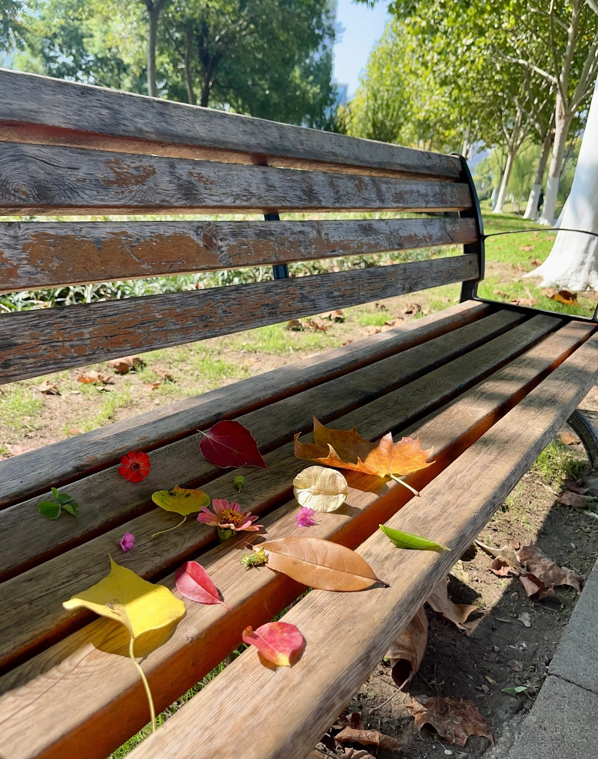 公园20分钟效应即使什么也不做只是在公园待20分钟就能让状态心情变得更好[滑稽笑]