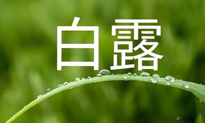今日白露，老话“白露三不碰，一年没毛病”，是哪三不碰？今天正式迎来白露节气