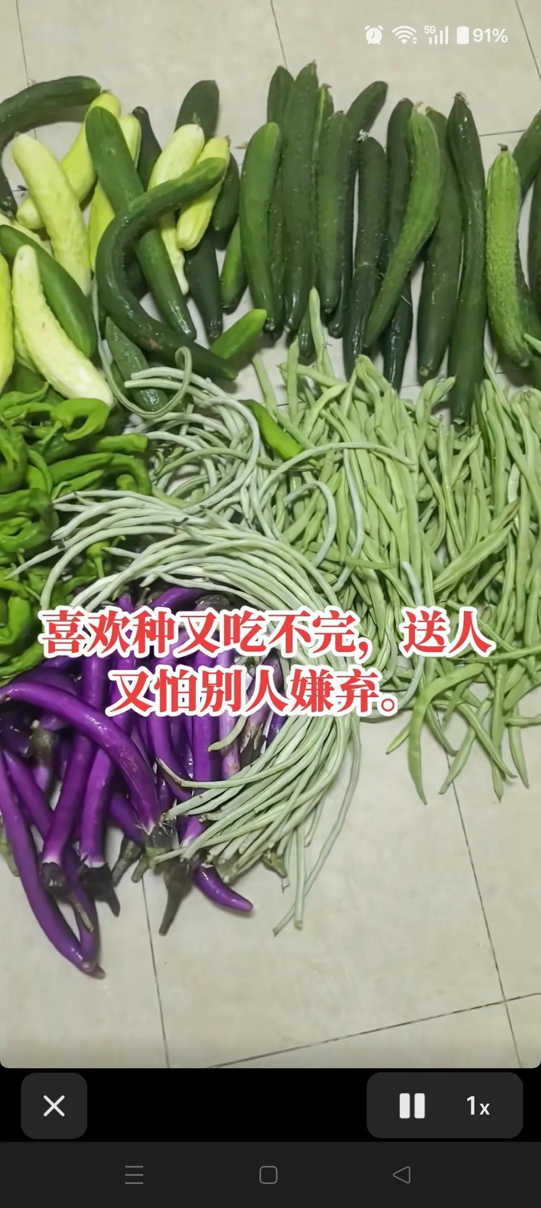 菜多到吃不完，送人又怕嫌弃。这个季节又到了北方吃地三鲜的时候，这里面好像少了一道