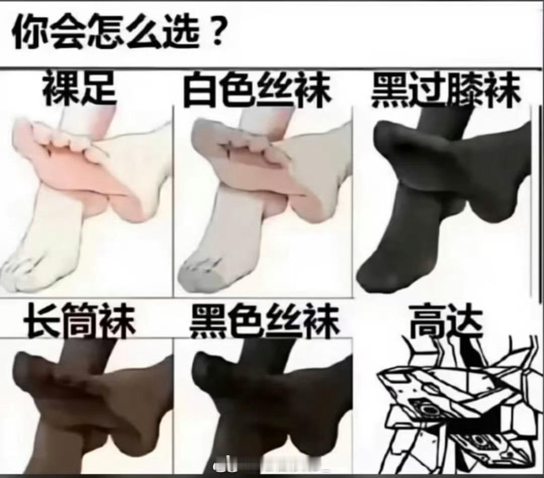 你会怎么选？​​​​
