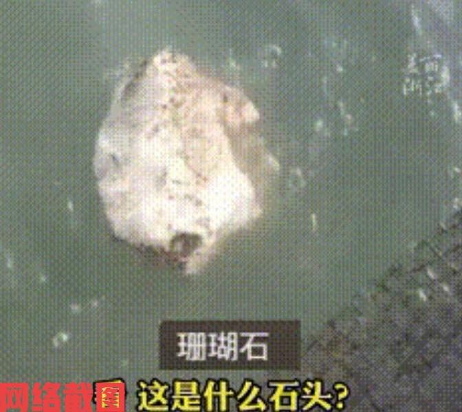 福建漳州有女子去海边进行海钓。女子的鱼没有钓到多少，但让女子看到远处海面上有