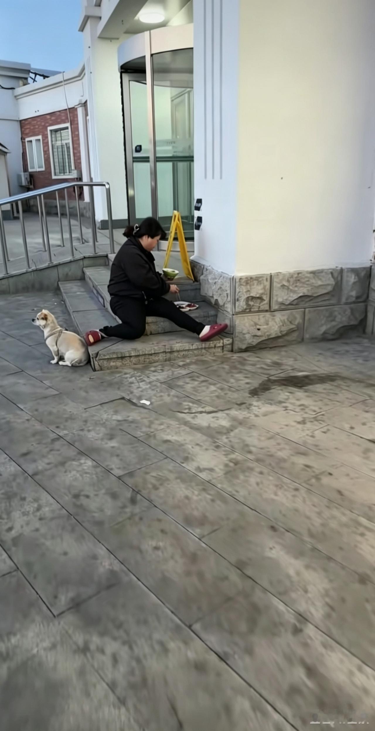 如此养狗，何患之有？一位大姐带着狗坐到一个饭店门口的台阶上在吃饭。因为这家