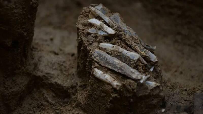 【3万年前的瑞士军刀：捷克出土石器时代个人工具包揭示史前猎人日常】海外新鲜事考