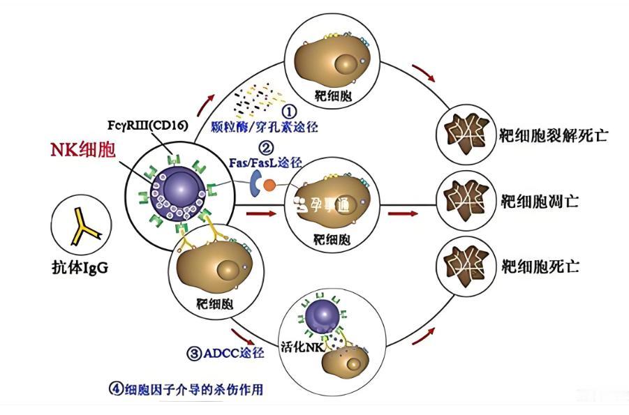 刚做完一台手术回来，看了看大家在我小视频和文章里的评论，发现很多朋友都在问同一个
