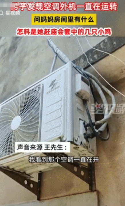 “有钱就是任性！”7月2日，安徽一女子因天气炎热，担心楼上养的4只小鸡被热死，索