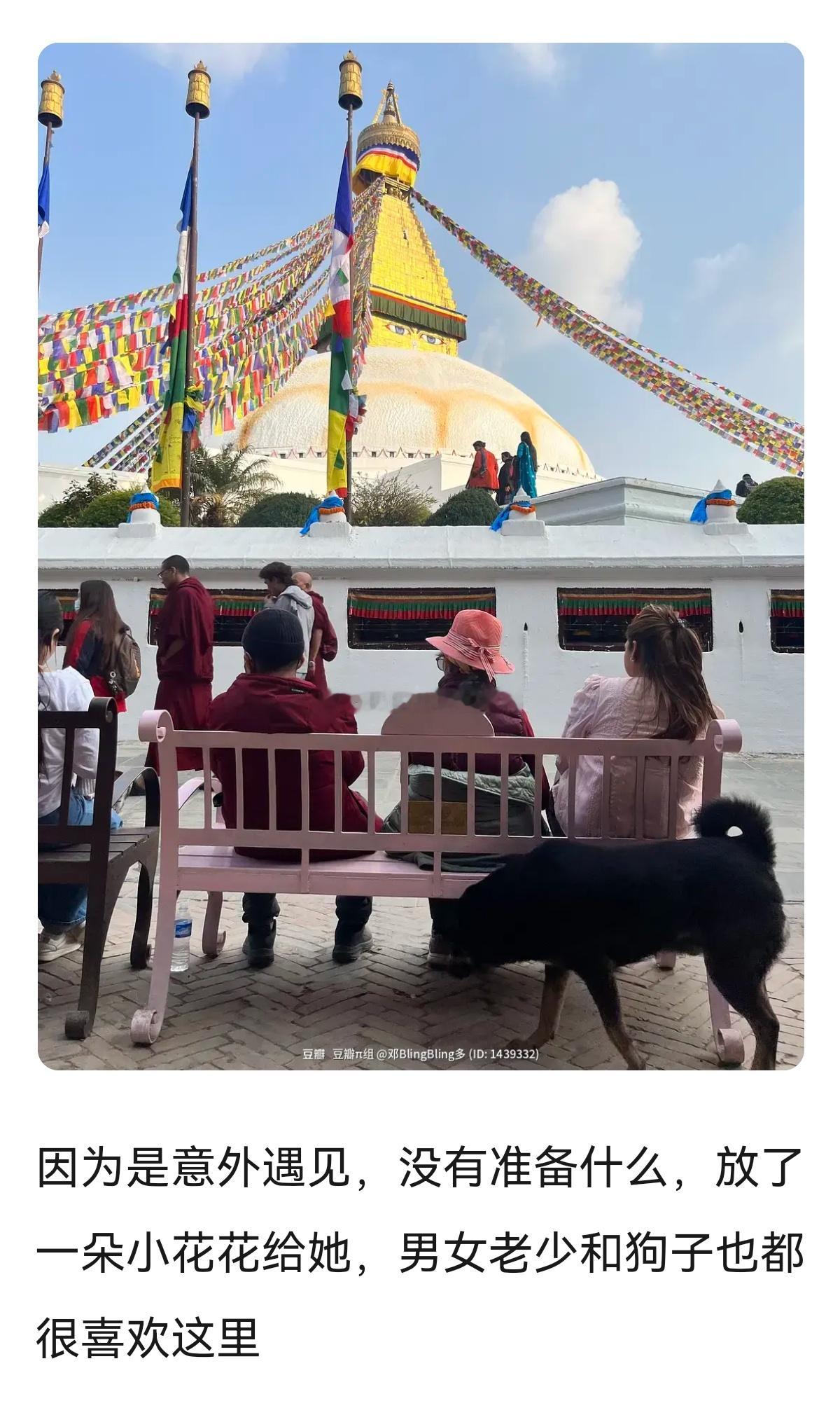 🈶网友在尼泊尔看到了纪念大S的长椅～