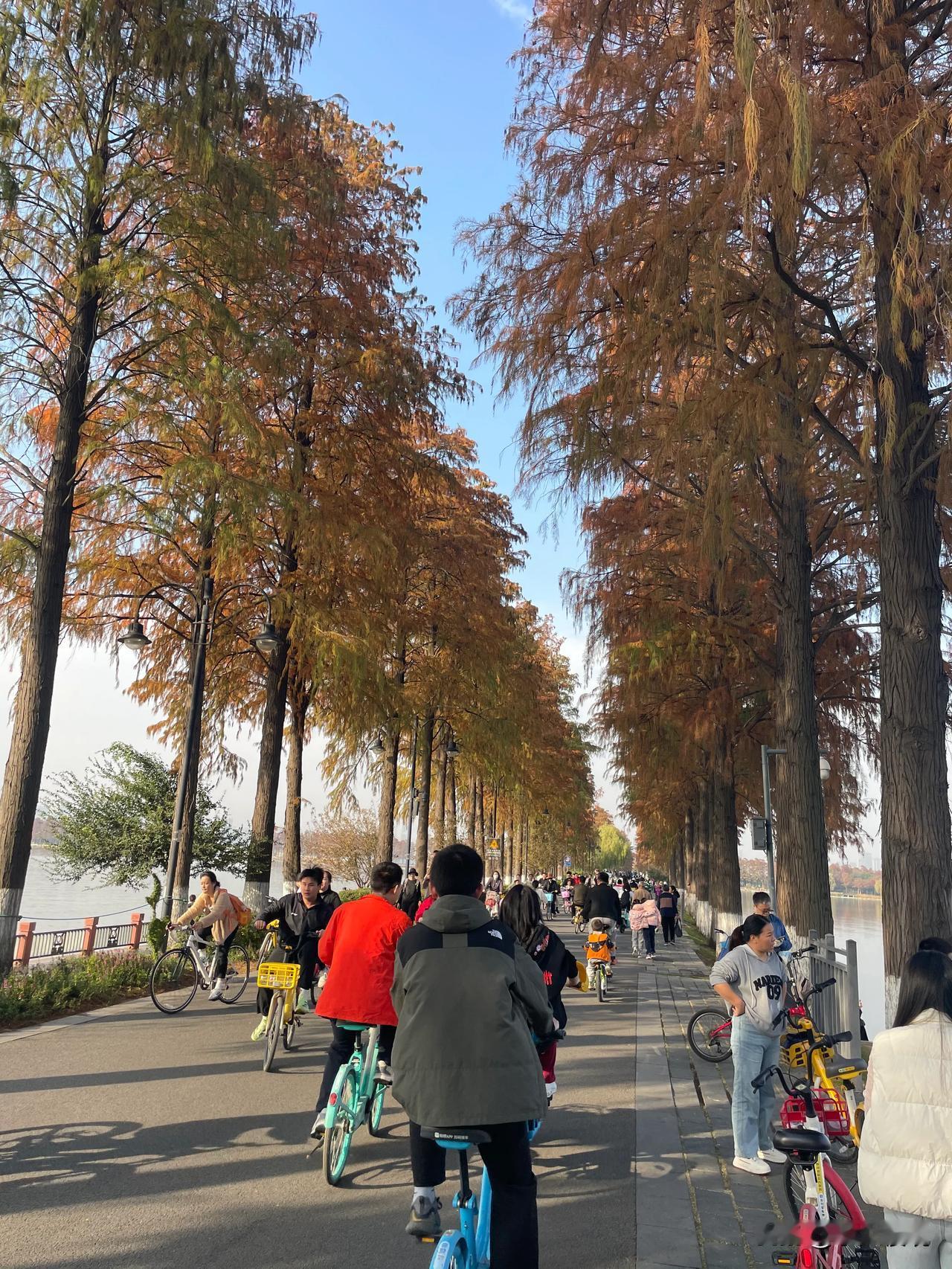 周末东湖，人很多啊，风景也很好！大家少聊房事，多去户外！