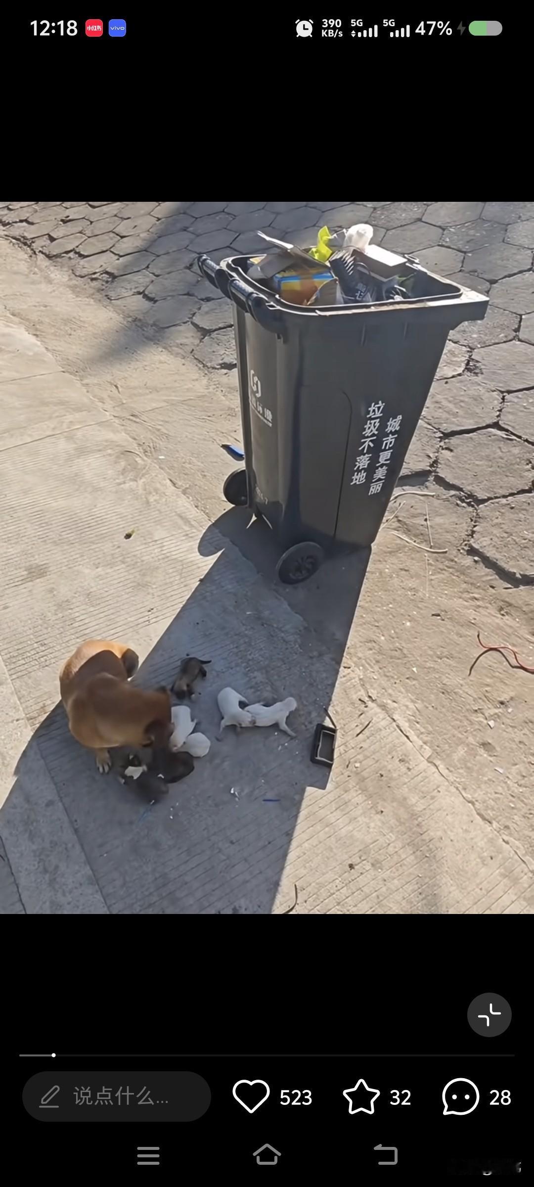 泪目了！这天一位小姐姐去倒垃圾，结果来到垃圾桶附近的时候，看到了令人同情的一幕，