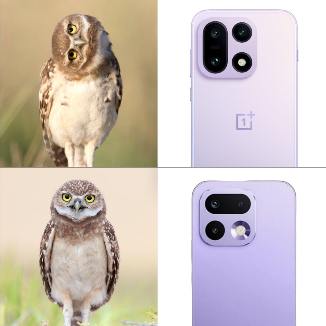 上面是一加15，下面是？