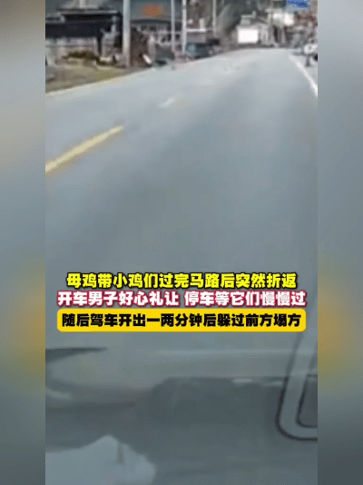 奇迹！西藏司机等鸡群过马路，竟躲过塌方体！6月5日，西藏芒康，一位司机的经