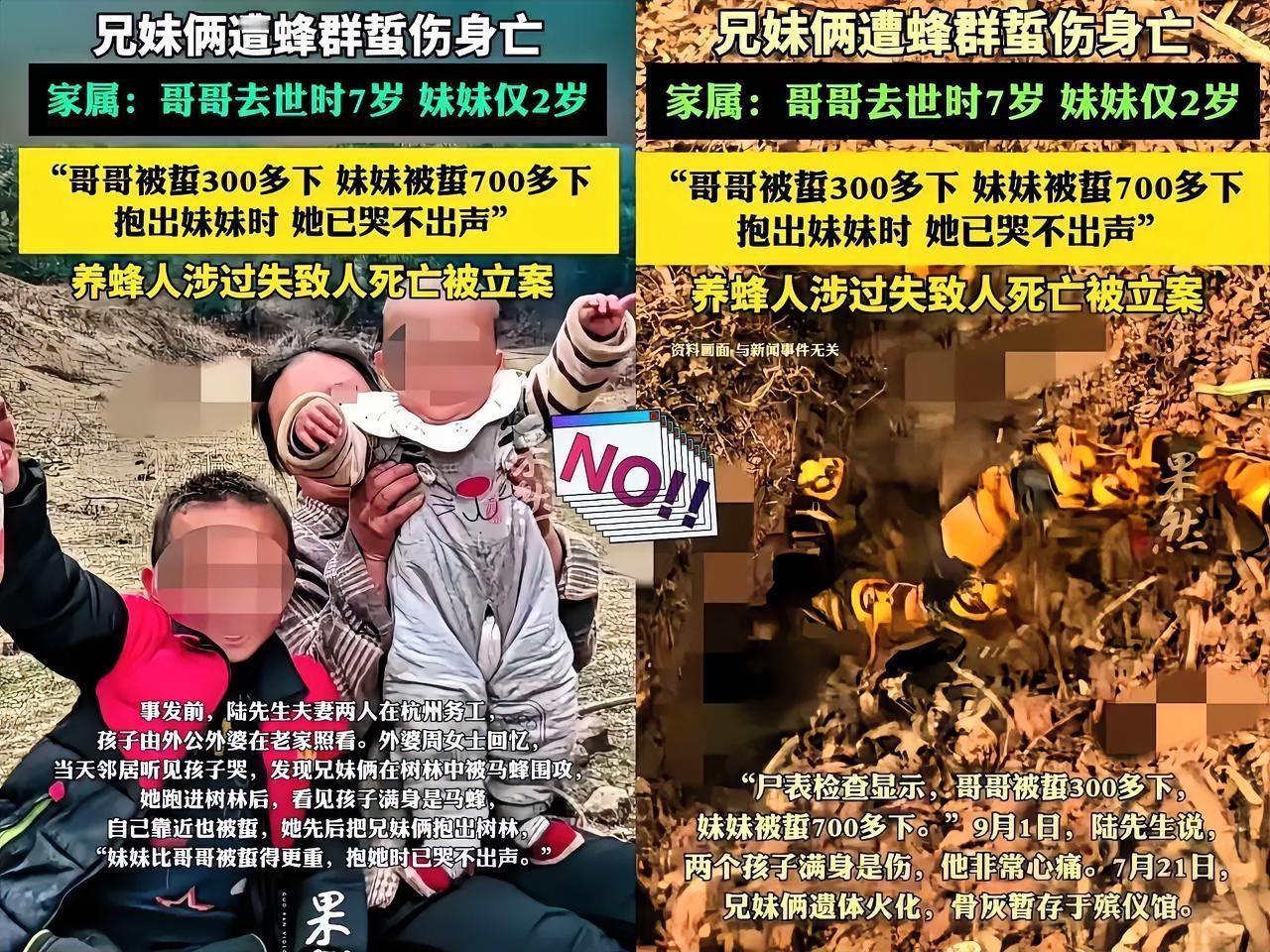 谁能想到，两个好好玩耍的孩子，竟会被马蜂夺走性命！云南牟定那对兄妹，7岁的哥哥还