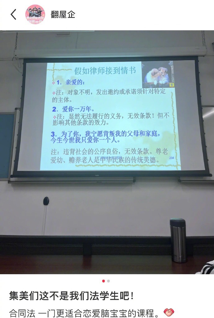 合同法更适合恋爱脑的课程