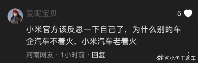 这些S*脑回路也是神奇小米汽车