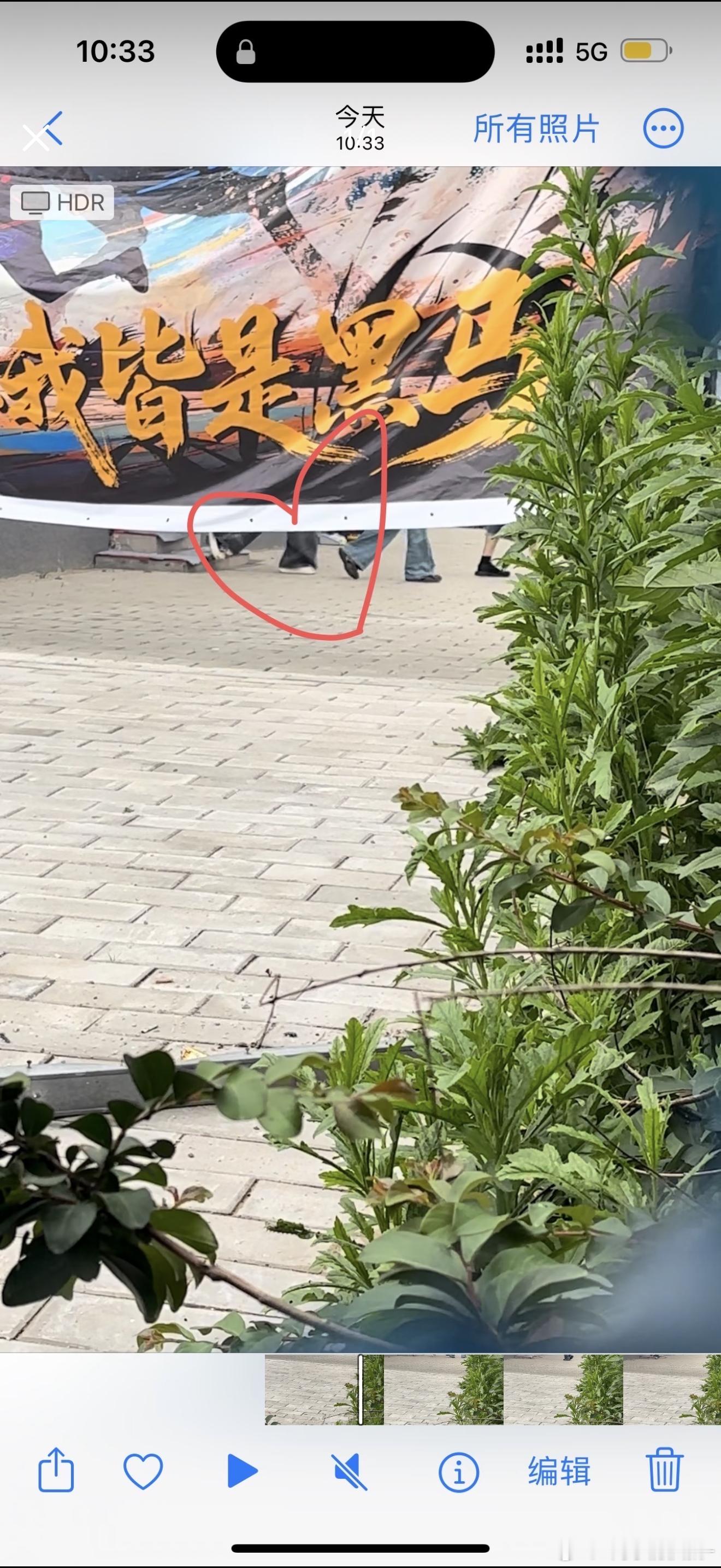 现在只能拍到脚