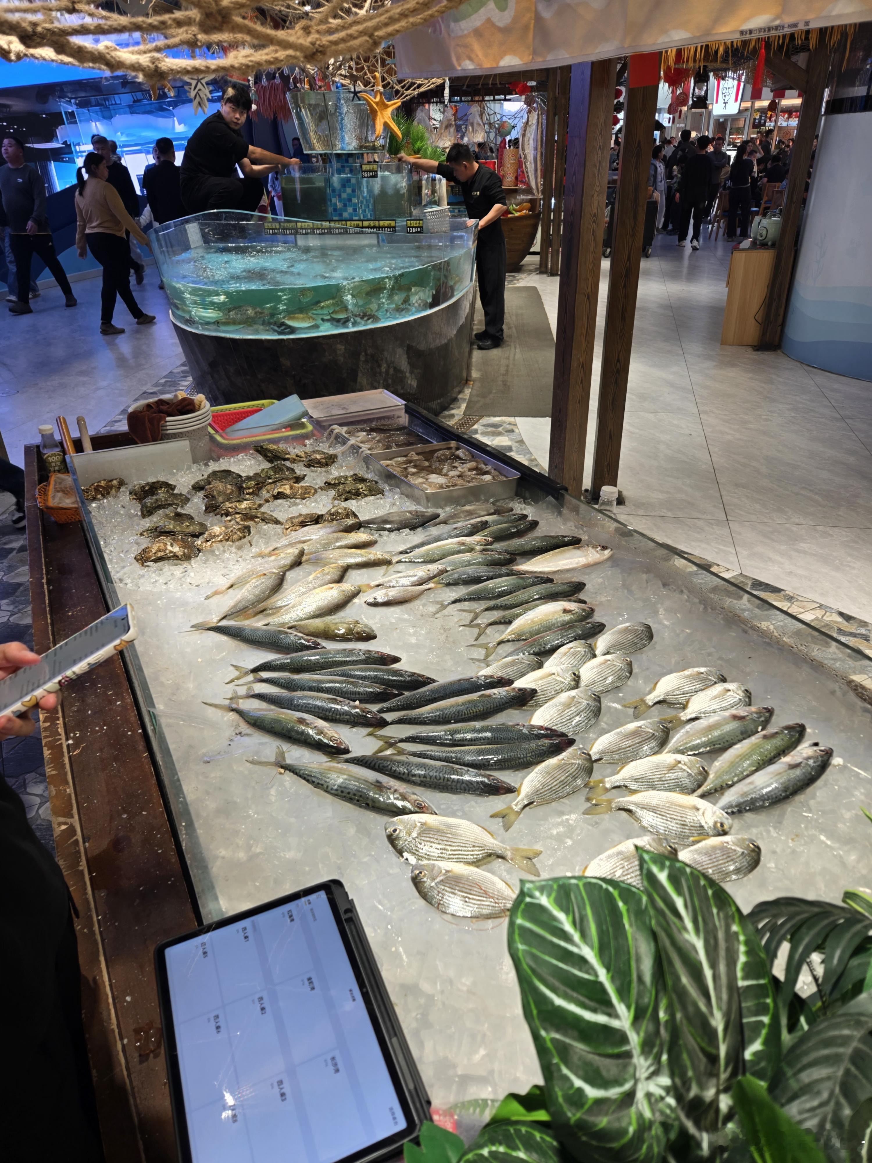 这湾区的服务区太卷了，习惯了京津冀服务区的冷淡，看到这场面实属惊讶😲汕尾·长