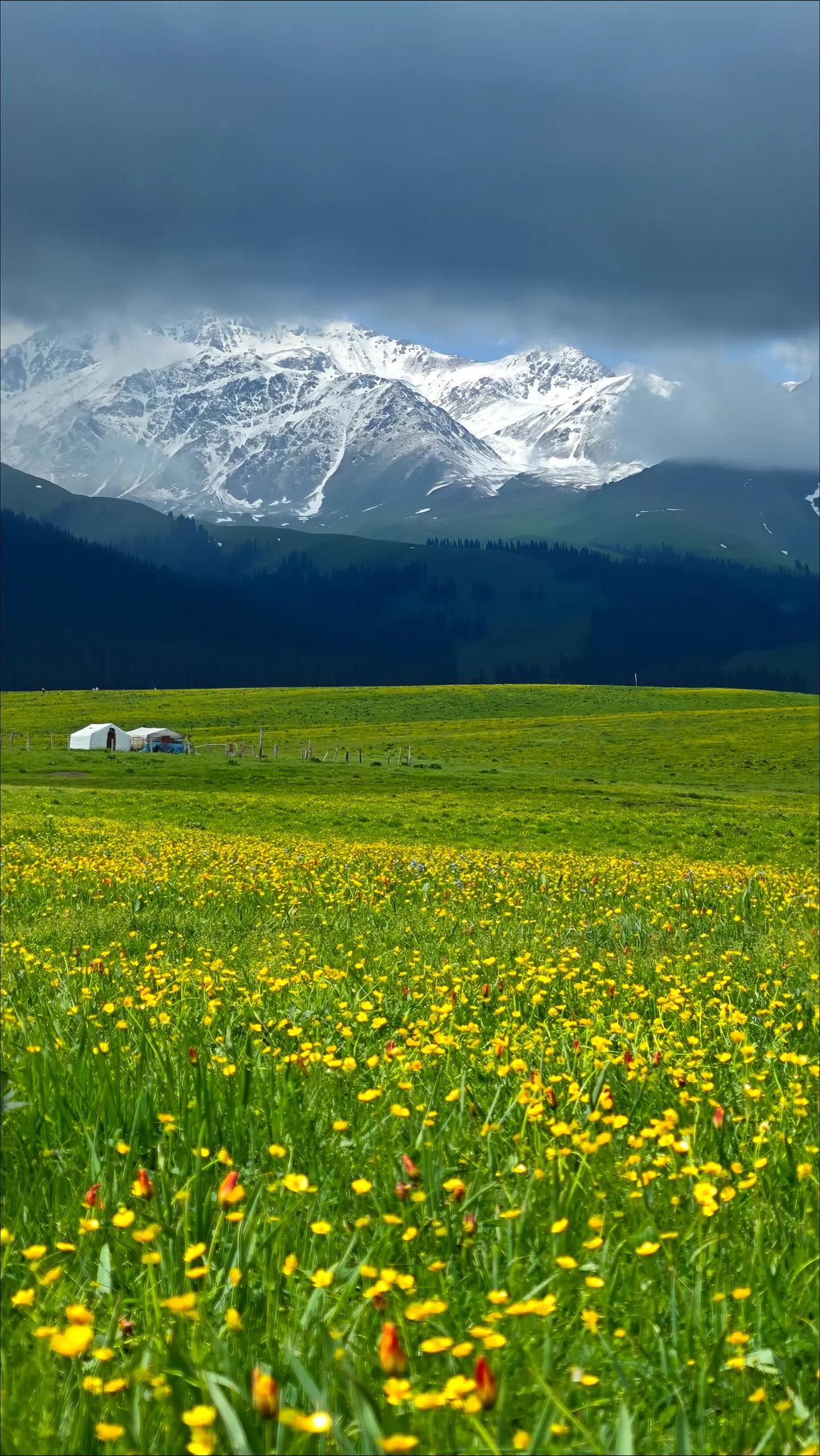 经常都遇到特别优秀的学生家长，都是某一个行业的领军人物，往往这样的家长比较自信，