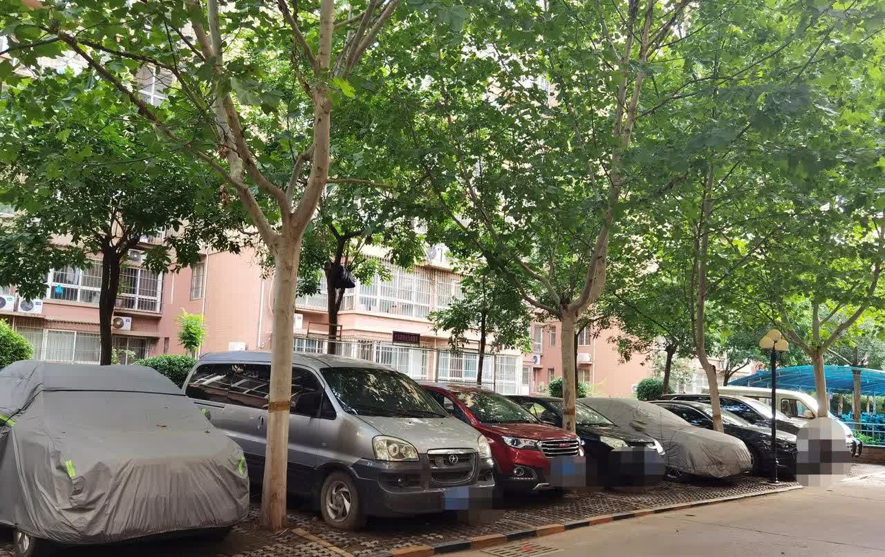 今天终于知道，汽车停多少天就打不着火了这几天想回趟老家，回来近五百公里，