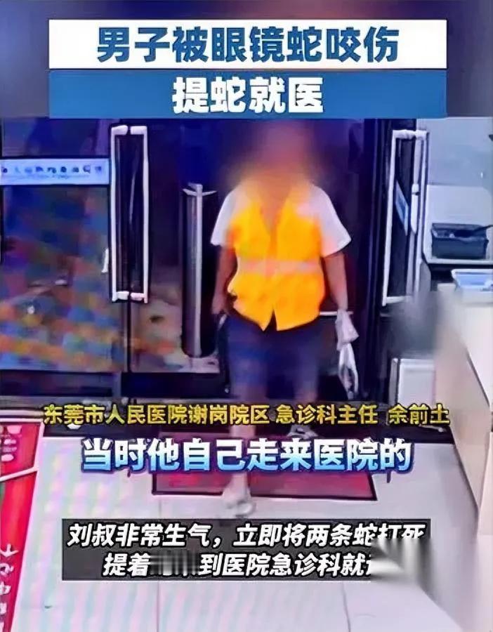 东莞大叔网鱼，捞出俩“不速之客”结果下一秒就被咬了！刘大叔62岁，那天在