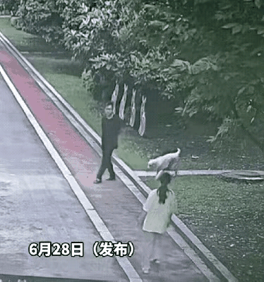 一名男子背着手，在公园里遛狗闲逛，那么大的狗居然没拴绳，走到一处拐弯的地方，撞见