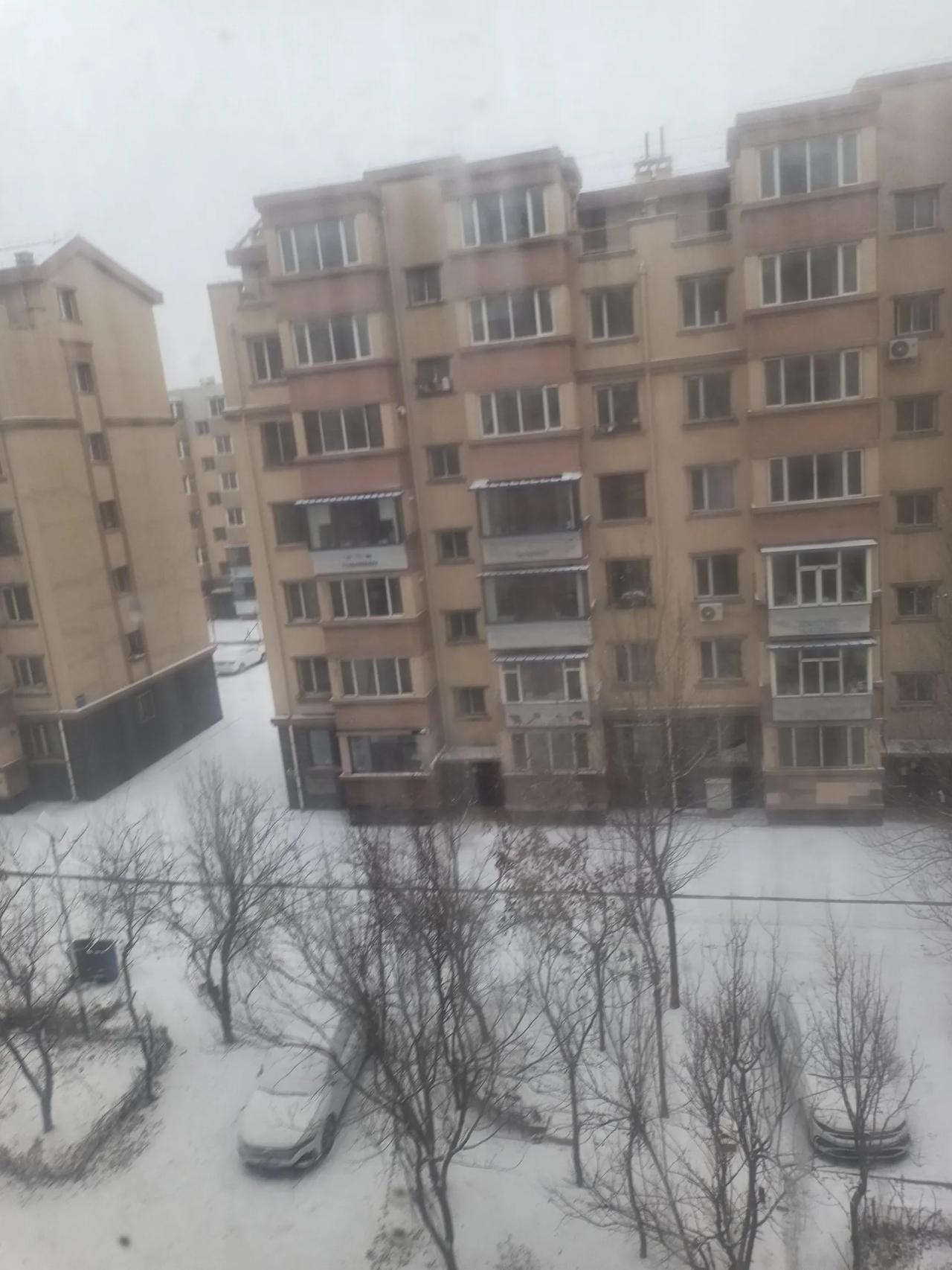 看不懂，这里的人都把雪扫到路中间，而不是堆到一边。为什么要这样做呢？