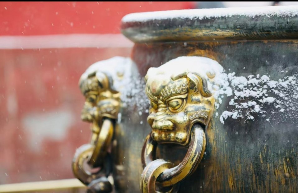 冬天去故宫看雪景，是很多人不约而同的约定。琉璃瓦、飞檐、汉白玉栏杆哪哪都是景致。