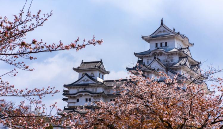 日本政府宣布了！2025年12月30日，日本政府宣布从明年7月