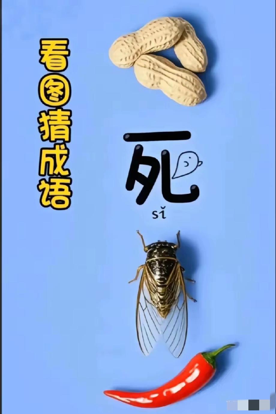 花生+死字+蝉+辣椒=？这题我想了3分钟，你能10秒猜出成语吗？