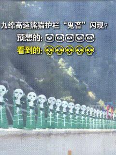 “太神奇了！”四川九绵高速上，一司机偶然往车窗外一瞥，惊奇发现，护栏上的熊猫装