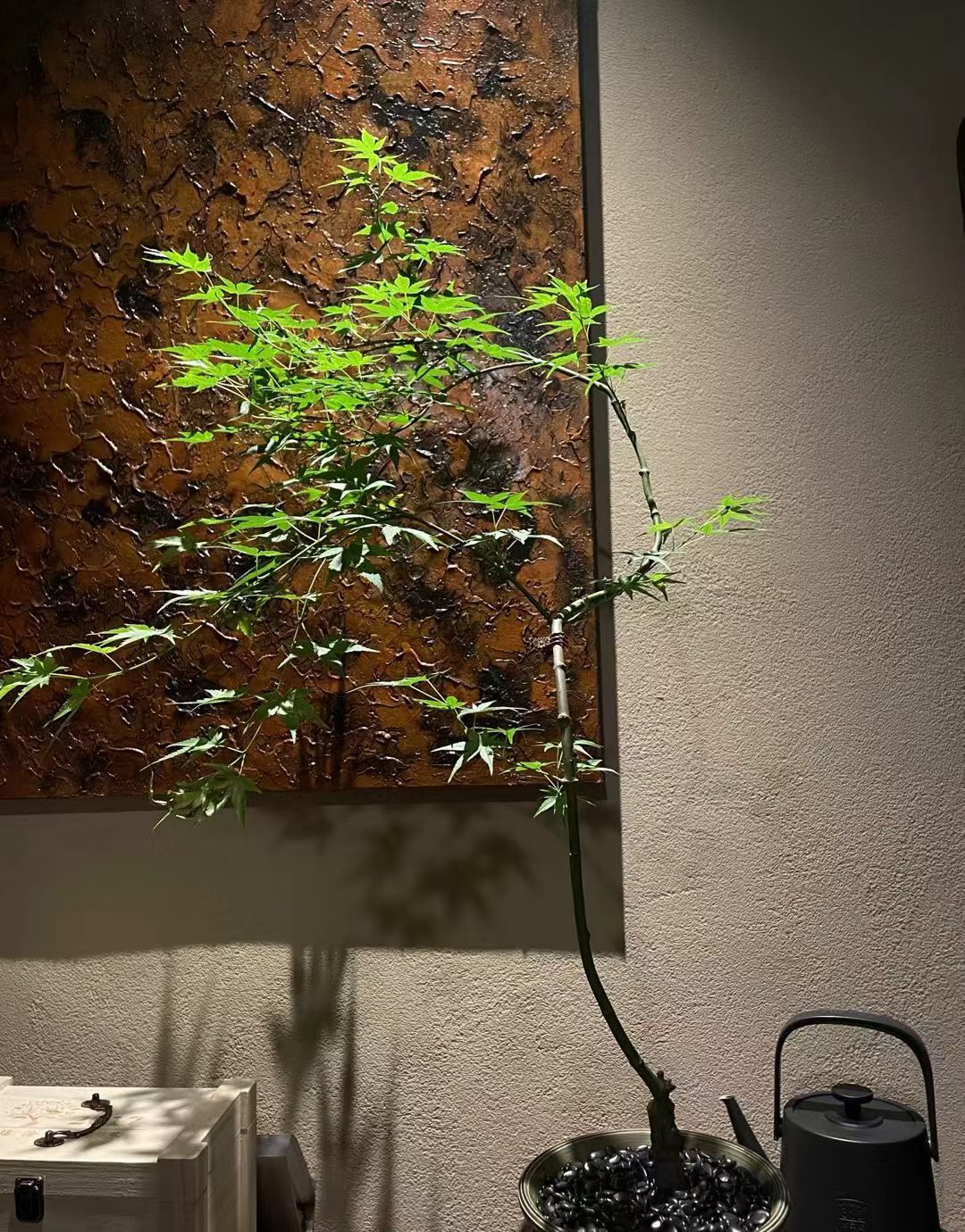 生命中最美的风景不是山水，而是内心的平静与豁达。