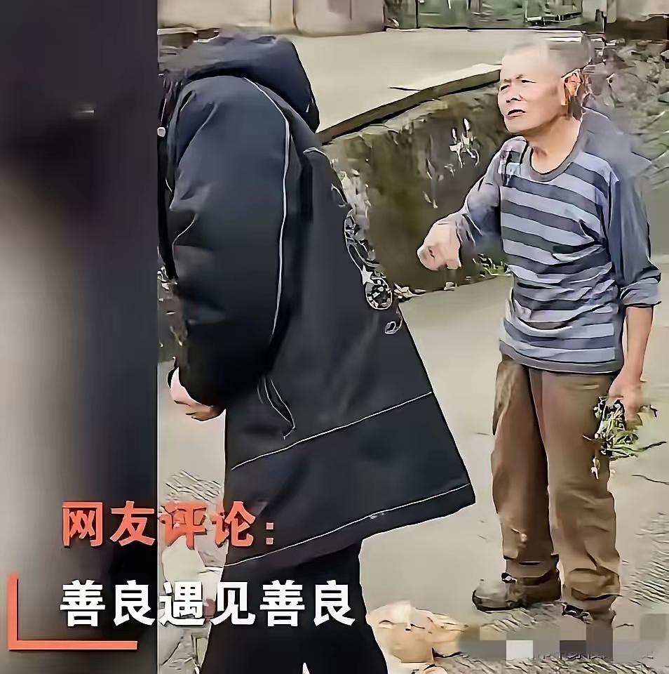 “太感人了！”重庆小伙下乡不慎压死老乡一只鸡，本以为要闹一场纠纷，农村大爷的做法