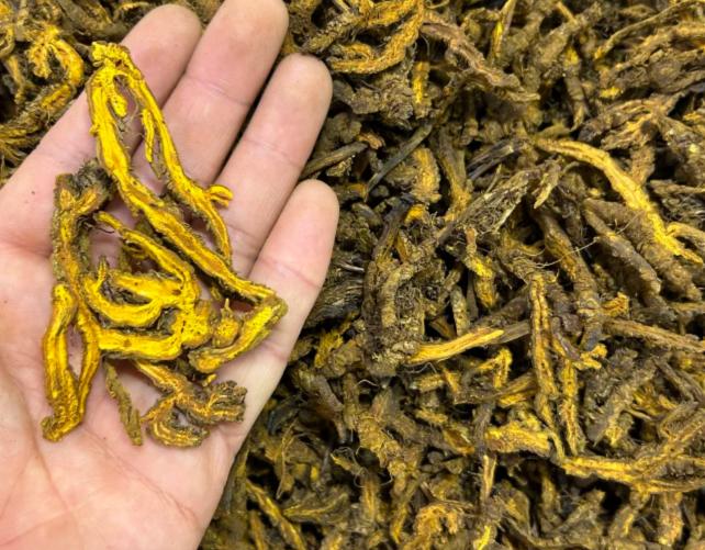 血糖居高不下？一剂“降糖稳脉饮”横扫阴虚燥热，60岁胰岛依然活力十足！今天为