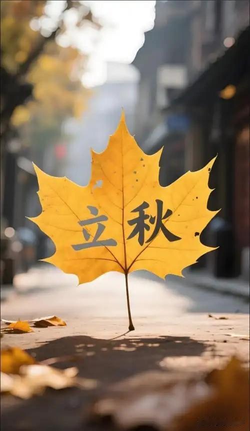 立秋其实，风的意图很明显千方百计地想清理掉那几片叶子它们败坏风气不说，