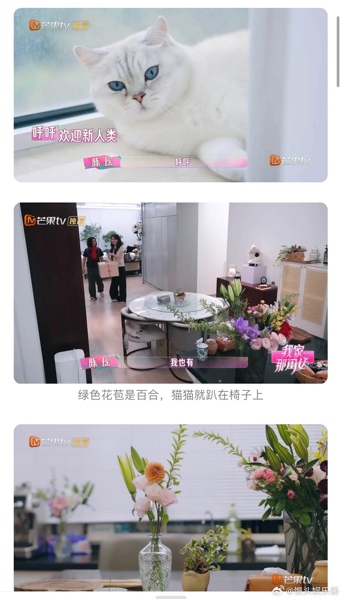 陈瑶养猫家里还养百合吗。