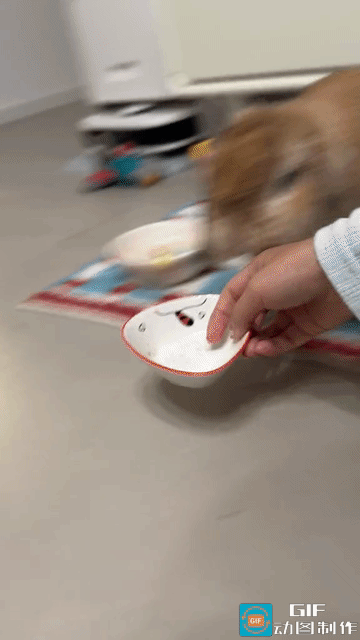 真别被兔子温顺的外表骗了，安徽这位网友养的宠物兔，被拒绝加餐之后直接当场摔碗抗议