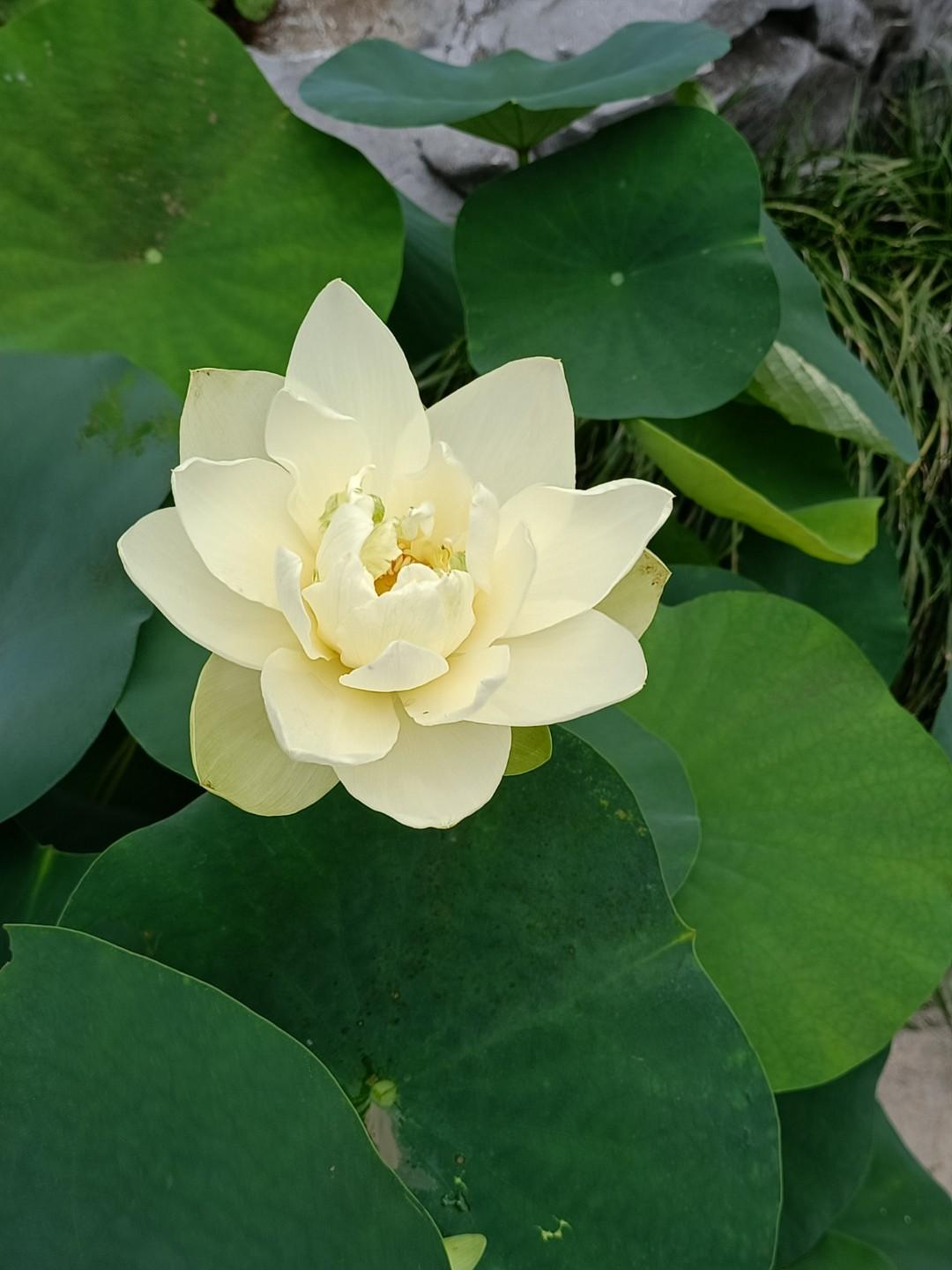 命由天定，殊途同归我是上世纪90年代读高中的，那时候高考录取率低，很多同学