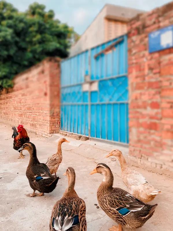 糖尿病真的如此可怕吗？我家邻居眼睛有点模糊，查了一下血糖有点高，就怀疑得了糖尿