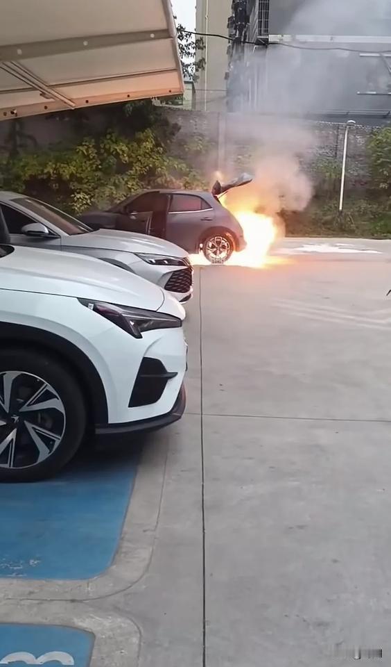 这是什么电车，还带喷火引擎，从冒烟到起火不过20秒，最后喷射火焰全车上烧毁，等1