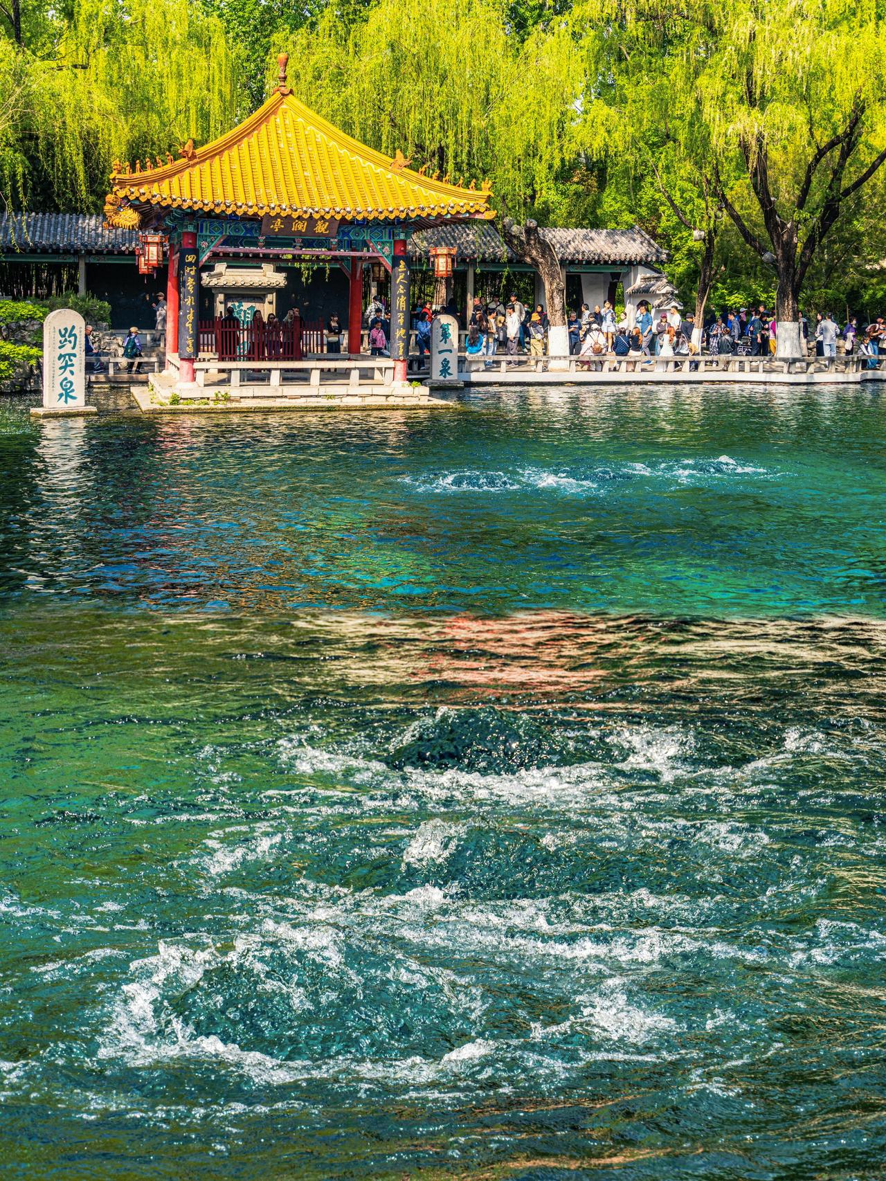 济南本地人真的会逛趵突泉吗？打破游客固有滤镜说起济南旅行，趵突泉绝对是绕不