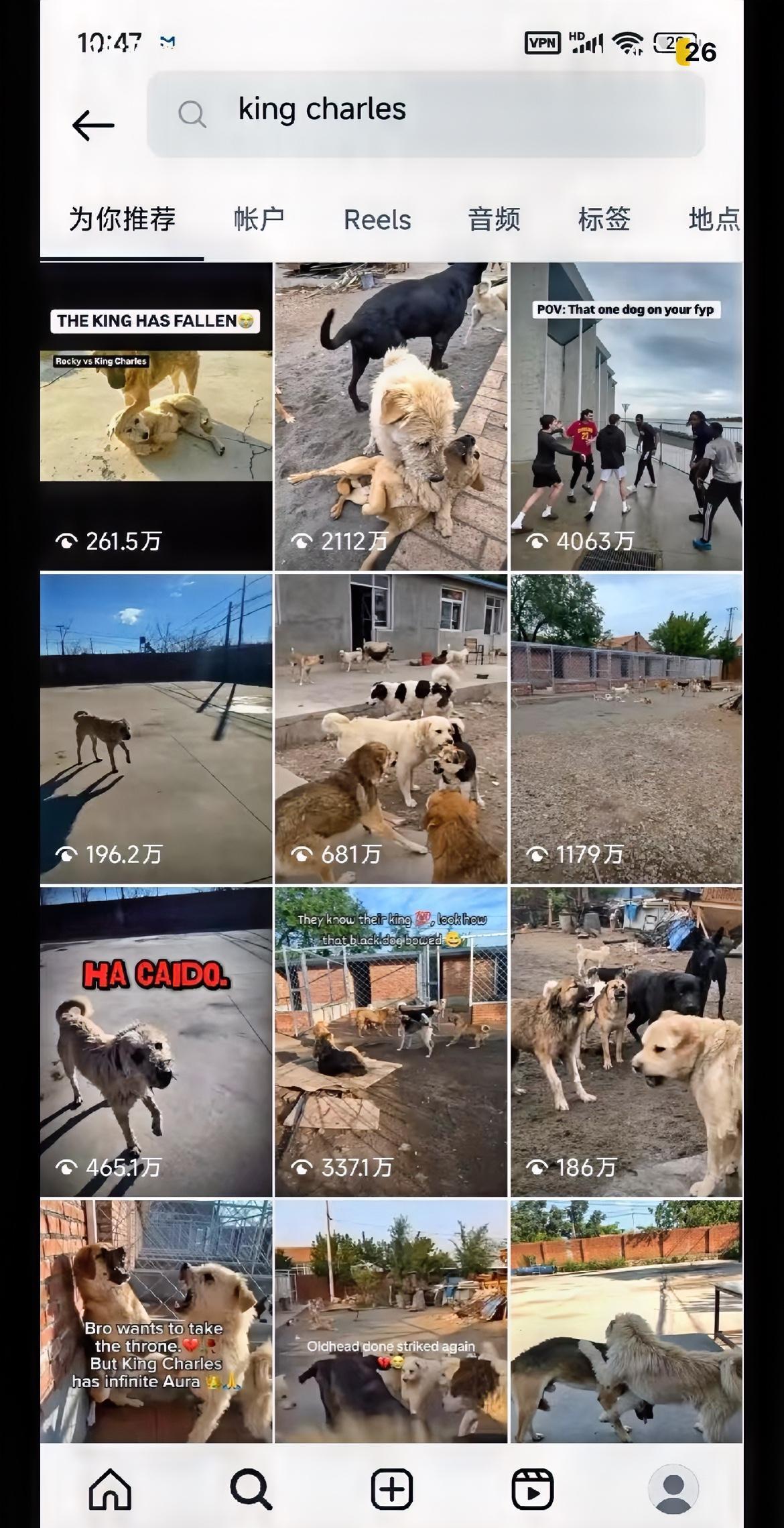 最夸张的是，老外不仅弄了狗王的联名T恤，甚至还出了狗王查尔斯的虚拟货币。油管上