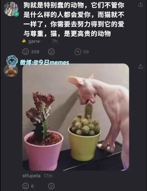 嗯哼（9gag）今日meme今日memes​​​