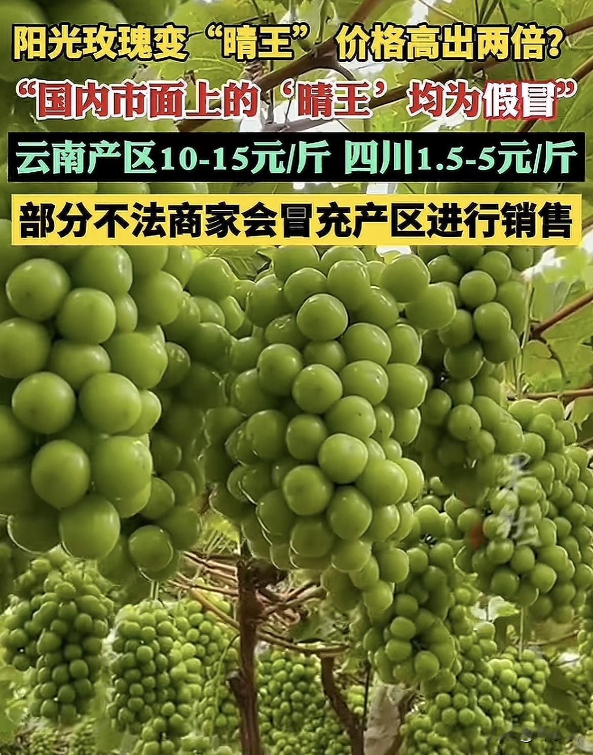 这下好了，不仅种植户知道了就连全国消费者都不会被蒙在鼓里了。众所周知，这