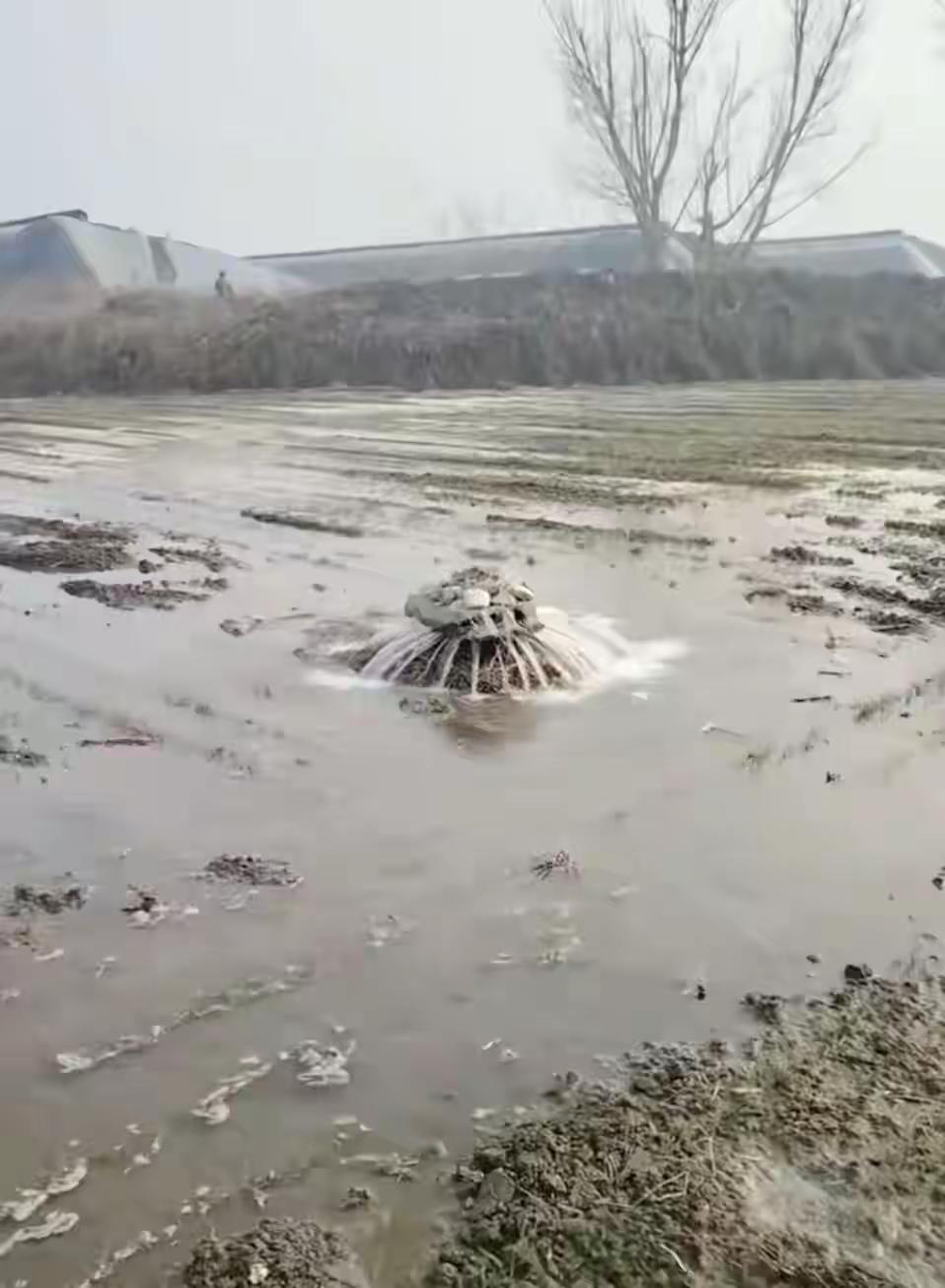 山东淄博废弃井一夜变身温泉秘境！30度热水喷涌淹没农田，村民惊呼神奇背后隐藏地热