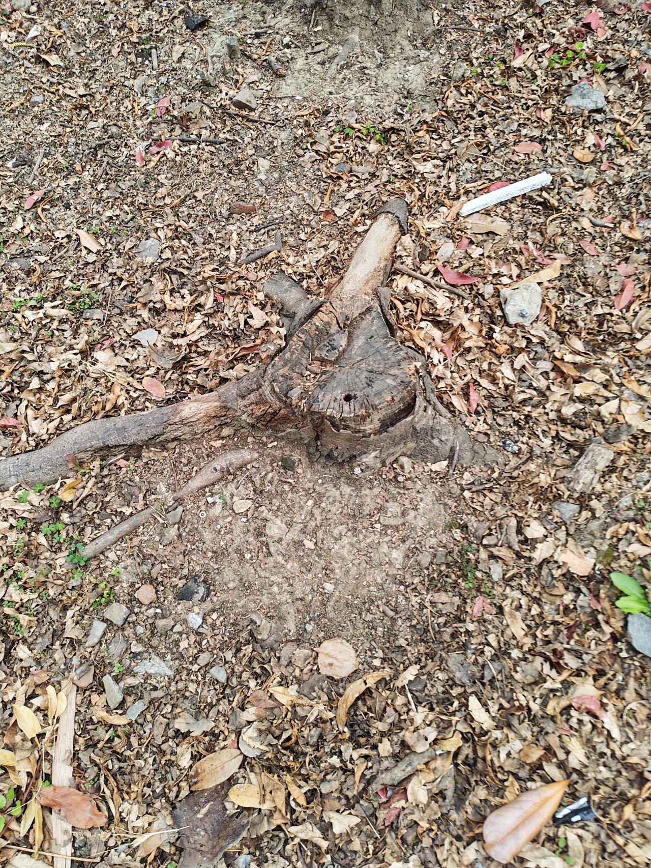 居民小区物业还有存在的必要吗现在城市居民对小区物不作为不尽责反应强烈，不少小