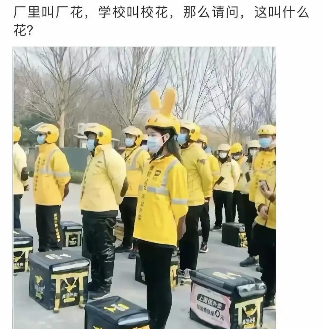 这个怎么说？[doge]