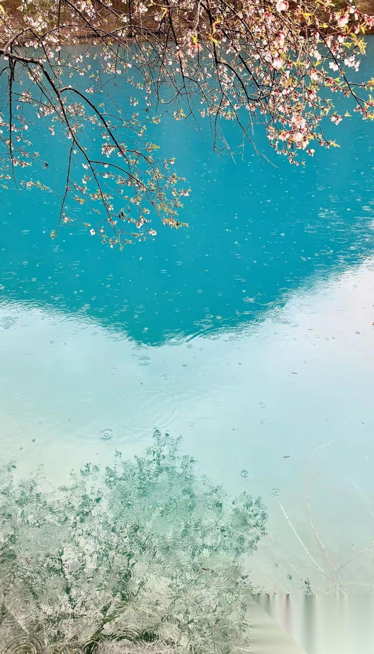 一位足浴店长说:很多男人鬼鬼祟祟来到店里，不问足浴，不问按摩，不问柔式，就问有