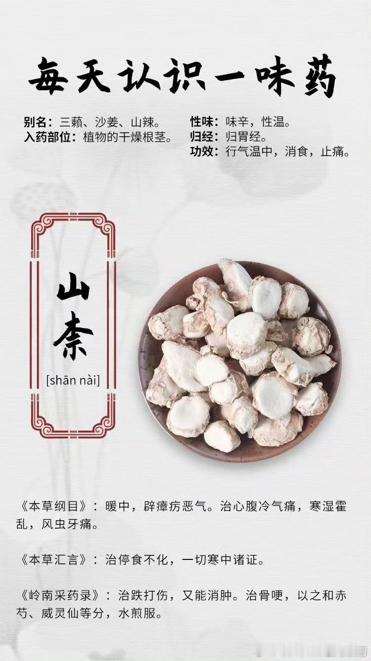 治幽门螺杆菌，沙姜鸡要火！山奈，沙姜。所以大家多吃沙姜鸡哈。如果在广东只吃一