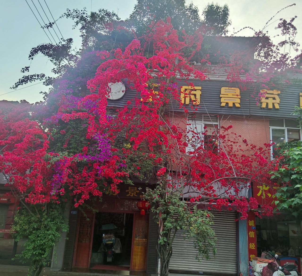 不管信不信玄学，你会发现:开车的时候，喜欢把共享单车停进小区，甚至停到楼道门