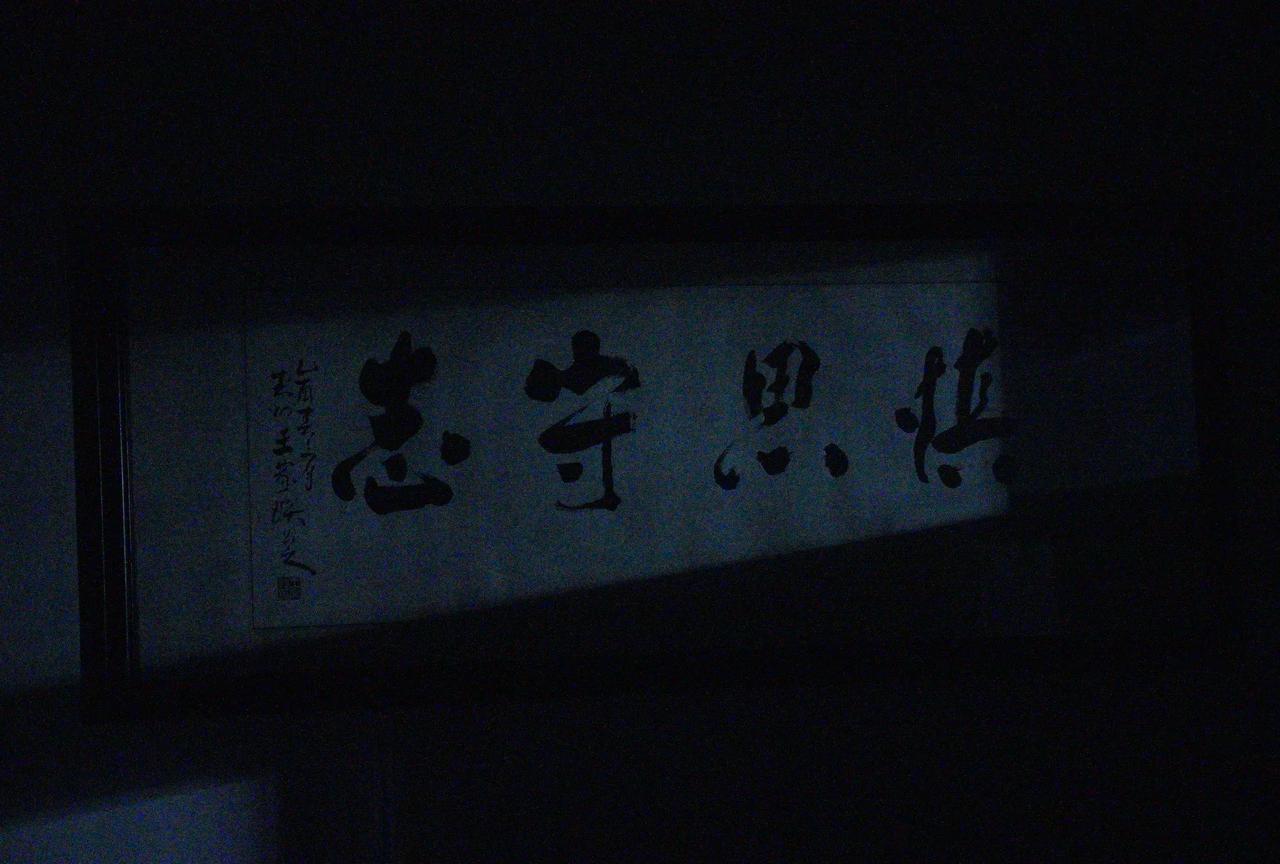 一万多的相机拍成这样[捂脸哭]我真是个大聪明