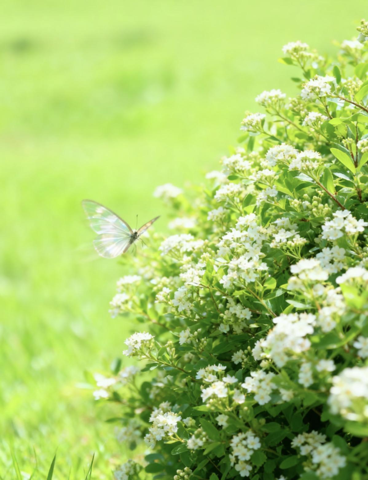 人到了中年，蕞大的心酸，是你拼尽全力熬到以为苦尽甘来，生活却反手给你一记重