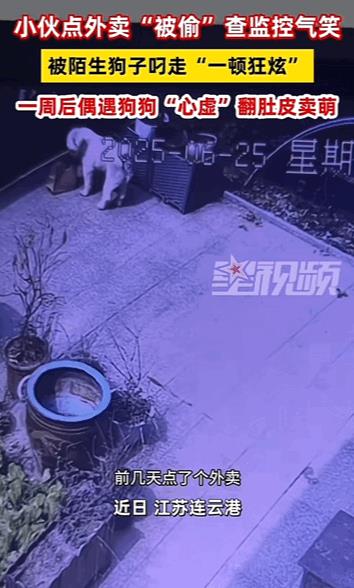 万物皆有灵性！江苏，小伙子儿点外卖“被偷”，让人很气愤结果一查监控直接被气笑。原